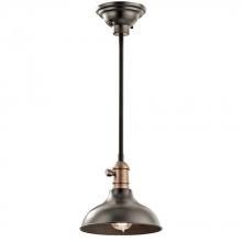 Kichler 42579OZ - Mini Pendant/Wall 1Lt