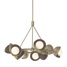 Hubbardton Forge 131068-SKT-MULT-84-05-GG0711 - Brooklyn 9-Light Double Shade Ring Pendant