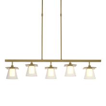 Hubbardton Forge 136605-SKT-LONG-86-ZU0284 - Wren 5 Light Pendant