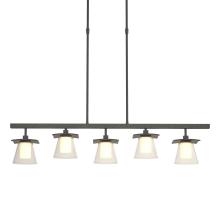 Hubbardton Forge 136605-SKT-SHRT-20-ZU0284 - Wren 5 Light Pendant