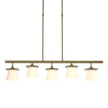 Hubbardton Forge 136605-SKT-STND-86-GG0242 - Wren 5 Light Pendant