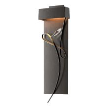 Hubbardton Forge 205440-LED-14-10-CR - Rhapsody LED Sconce