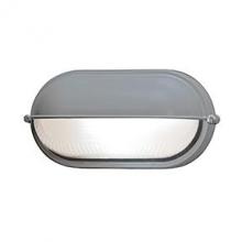 Access 20291-SAT/FST - 1 Light Outdoor Bulkhead