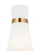 Visual Comfort & Co. Studio Collection 4190501EN3-848 - Clark One Light Wall / Bath Sconce