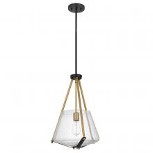 Nuvo 60/7687 - Starlight; 1 Light Foyer Pendant; Medium Base; 60 Watt; Matte Black Finish: Clear Seeded Glass